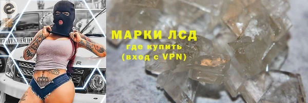 дживик Майский
