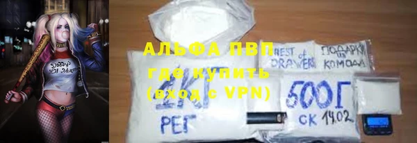 дживик Майский