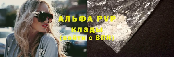 дживик Майский