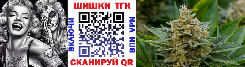 Конопля сатива  Полярный 